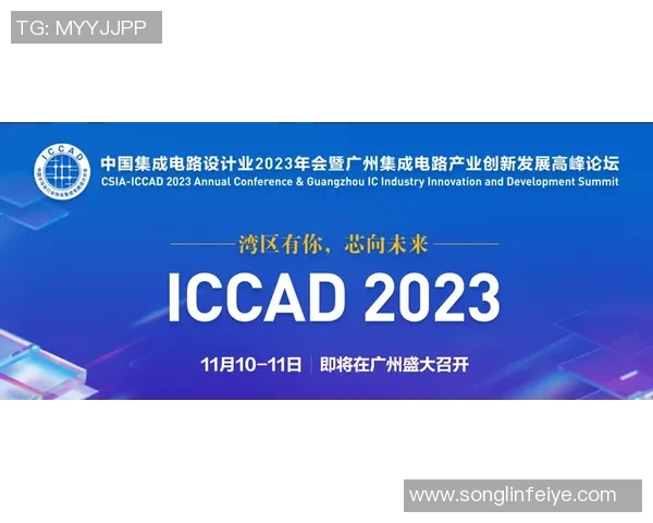 南京滑板队转型之路的挑战与机遇探讨