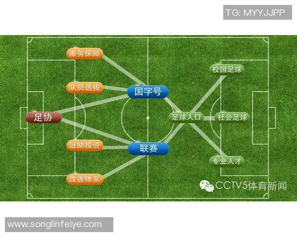 北京足球队的崛起与挑战全面分析及未来发展展望