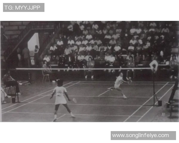 南京羽毛球队在比赛中的控制能力分析与得失总结 南京羽毛球队在比赛中的控制能力分析与得失总结