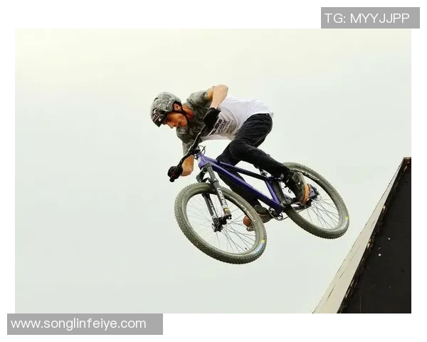 成都极限运动队的盯防策略分析与成效评估探讨 成都极限运动队的盯防策略分析与成效评估探讨