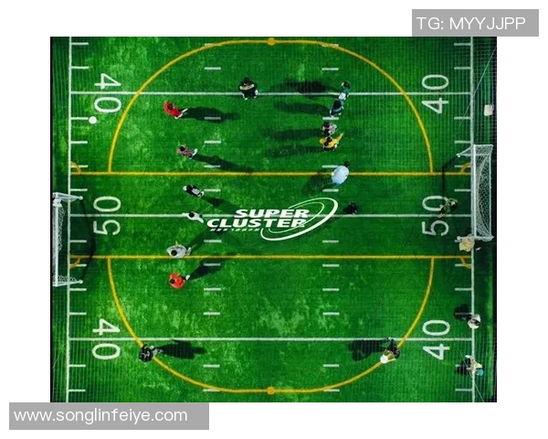杭州飞盘队与成都飞盘队赛后复盘分析力量对比与战术探讨