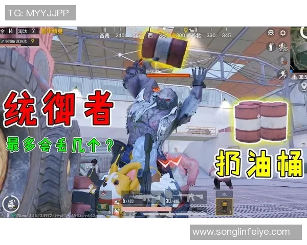 揭秘和平精英成功背后的故事与杨秀英的独特见解