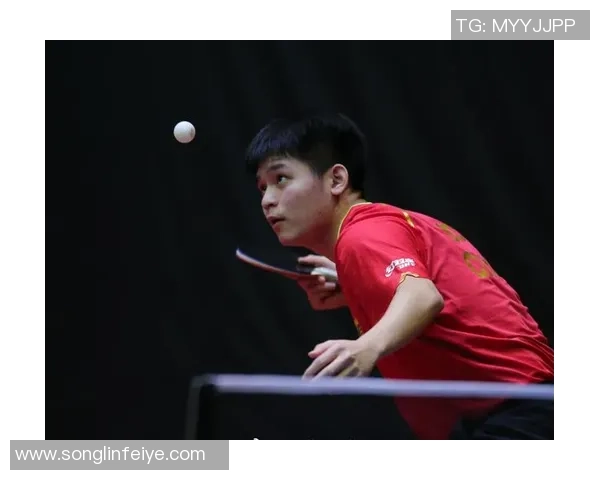 杨伟专访：深入探讨乒乓球成功背后的秘诀与心路历程