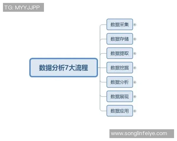 深圳排球队配合表现的数据分析与战术优化研究 深圳排球队配合表现的数据分析与战术优化研究