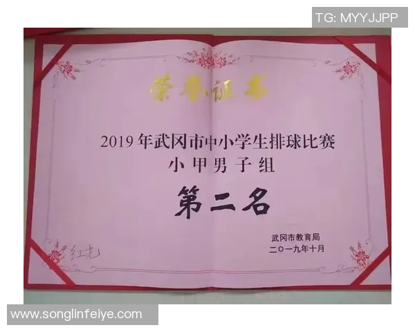 武汉排球队心理素质分析及其对比赛表现的影响研究 武汉排球队心理素质分析及其对比赛表现的影响研究