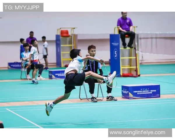 深圳羽毛球队荣登羽毛球战术排行榜第二名展现强大实力与团队默契 深圳羽毛球队荣登羽毛球战术排行榜第二名展现强大实力与团队默契