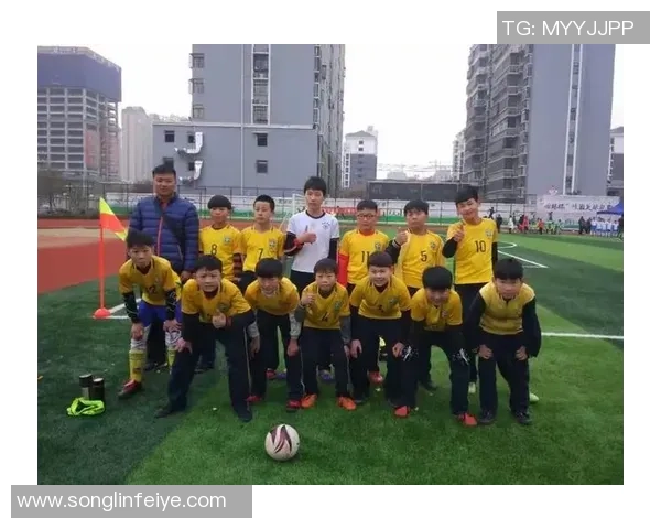 呈贡区足球发展现状与未来展望探讨及青少年培养策略分析 呈贡区足球发展现状与未来展望探讨及青少年培养策略分析