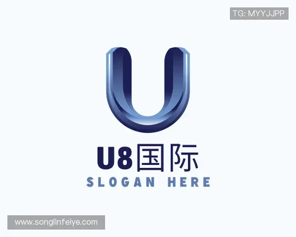 关于U8集团官网